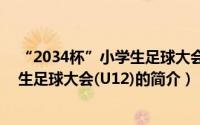 “2034杯”小学生足球大会(U12)（关于“2034杯”小学生足球大会(U12)的简介）