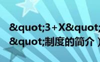 "3+X"制度（关于"3+X"制度的简介）