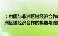 ：中国与非洲区域经济合作的机遇与路径（关于：中国与非洲区域经济合作的机遇与路径的简介）