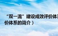 “双一流”建设成效评价体系（关于“双一流”建设成效评价体系的简介）