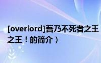 [overlord]吾乃不死者之王！（关于[overlord]吾乃不死者之王！的简介）