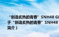 “创造炙热的青春”SNH48 GROUP第七届偶像年度人气总决选（关于“创造炙热的青春”SNH48 GROUP第七届偶像年度人气总决选的简介）