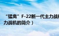 “猛禽”F-22新一代主力战机（关于“猛禽”F-22新一代主力战机的简介）