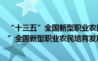 “十三五”全国新型职业农民培育发展规划（关于“十三五”全国新型职业农民培育发展规划的简介）