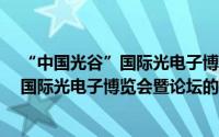 “中国光谷”国际光电子博览会暨论坛（关于“中国光谷”国际光电子博览会暨论坛的简介）