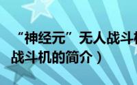 “神经元”无人战斗机（关于“神经元”无人战斗机的简介）