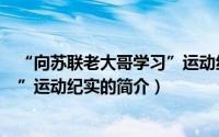 “向苏联老大哥学习”运动纪实（关于“向苏联老大哥学习”运动纪实的简介）