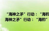 “海神之矛”行动：“海豹”突击队猎杀本·拉登（关于“海神之矛”行动：“海豹”突击队猎杀本·拉登的简介）