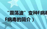 “震荡波”变种F病毒（关于“震荡波”变种F病毒的简介）