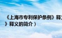 《上海市专利保护条例》释义（关于《上海市专利保护条例》释义的简介）