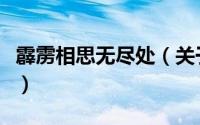 霹雳相思无尽处（关于霹雳相思无尽处的简介）