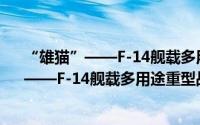 “雄猫”——F-14舰载多用途重型战斗机（关于“雄猫”——F-14舰载多用途重型战斗机的简介）