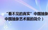 “看不见的真实”中国抽象艺术展（关于“看不见的真实”中国抽象艺术展的简介）