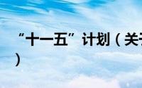 “十一五”计划（关于“十一五”计划的简介）