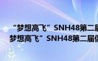 “梦想高飞”SNH48第二届偶像年度人气总选举（关于“梦想高飞”SNH48第二届偶像年度人气总选举的简介）