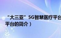 “大三亚”5G智慧医疗平台（关于“大三亚”5G智慧医疗平台的简介）