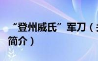 “登州戚氏”军刀（关于“登州戚氏”军刀的简介）