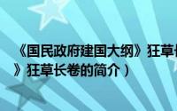 《国民政府建国大纲》狂草长卷（关于《国民政府建国大纲》狂草长卷的简介）