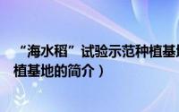 “海水稻”试验示范种植基地（关于“海水稻”试验示范种植基地的简介）