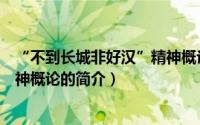 “不到长城非好汉”精神概论（关于“不到长城非好汉”精神概论的简介）