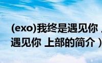 (exo)我终是遇见你 上部（关于(exo)我终是遇见你 上部的简介）