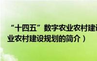 “十四五”数字农业农村建设规划（关于“十四五”数字农业农村建设规划的简介）