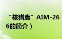 “核猎鹰”AIM-26（关于“核猎鹰”AIM-26的简介）