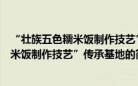 “壮族五色糯米饭制作技艺”传承基地（关于“壮族五色糯米饭制作技艺”传承基地的简介）