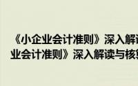 《小企业会计准则》深入解读与核算实务全书（关于《小企业会计准则》深入解读与核算实务全书的简介）