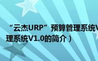 “云杰URP”预算管理系统V1.0（关于“云杰URP”预算管理系统V1.0的简介）