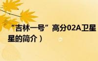 “吉林一号”高分02A卫星（关于“吉林一号”高分02A卫星的简介）