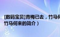 [数码宝贝]青梅已去，竹马何来（关于[数码宝贝]青梅已去，竹马何来的简介）