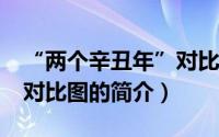 “两个辛丑年”对比图（关于“两个辛丑年”对比图的简介）