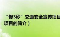 “慢3秒”交通安全宣传项目（关于“慢3秒”交通安全宣传项目的简介）