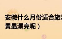 安徽什么月份适合旅游景点（几月份去安徽风景最漂亮呢）