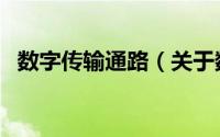 数字传输通路（关于数字传输通路的简介）