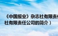 《中国报业》杂志社有限责任公司（关于《中国报业》杂志社有限责任公司的简介）