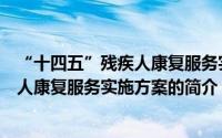 “十四五”残疾人康复服务实施方案（关于“十四五”残疾人康复服务实施方案的简介）