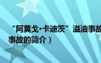 “阿莫戈·卡迪茨”溢油事故（关于“阿莫戈·卡迪茨”溢油事故的简介）