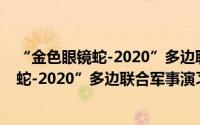 “金色眼镜蛇-2020”多边联合军事演习（关于“金色眼镜蛇-2020”多边联合军事演习的简介）