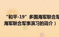 “和平-19”多国海军联合军事演习（关于“和平-19”多国海军联合军事演习的简介）