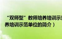 “双师型”教师培养培训示范单位（关于“双师型”教师培养培训示范单位的简介）