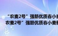 “农麦2号”强筋优质春小麦新品种繁育示范推广（关于“农麦2号”强筋优质春小麦新品种繁育示范推广的简介）