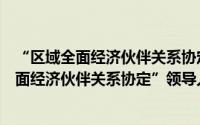 “区域全面经济伙伴关系协定”领导人会议（关于“区域全面经济伙伴关系协定”领导人会议的简介）