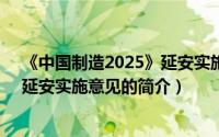 《中国制造2025》延安实施意见（关于《中国制造2025》延安实施意见的简介）