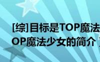 [综]目标是TOP魔法少女（关于[综]目标是TOP魔法少女的简介）