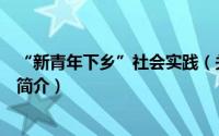 “新青年下乡”社会实践（关于“新青年下乡”社会实践的简介）