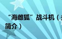 “海雌狐”战斗机（关于“海雌狐”战斗机的简介）