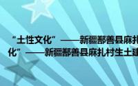 “土性文化”——新疆鄯善县麻扎村生土建筑景观规划（关于“土性文化”——新疆鄯善县麻扎村生土建筑景观规划的简介）