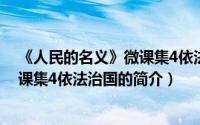 《人民的名义》微课集4依法治国（关于《人民的名义》微课集4依法治国的简介）